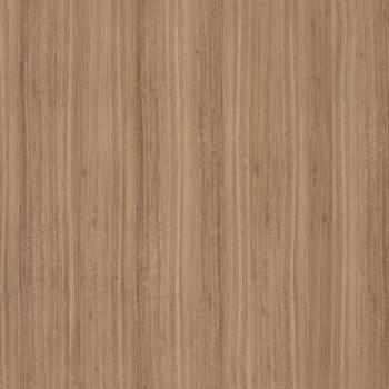 Эвкалипт Frisse [Eucalyptus Frisse]