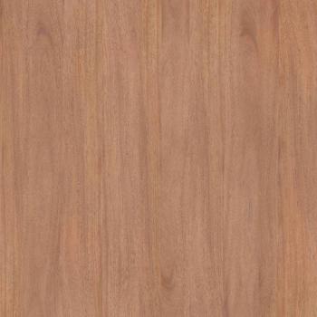 Цедер [Cedar]